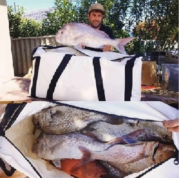 Bolsa refrigeradora para peces insultados